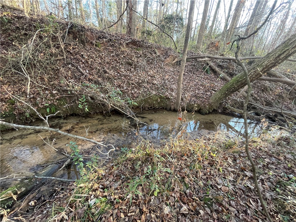 251 Chaparral Way Easley, SC 29640 - Photo 8 of 15