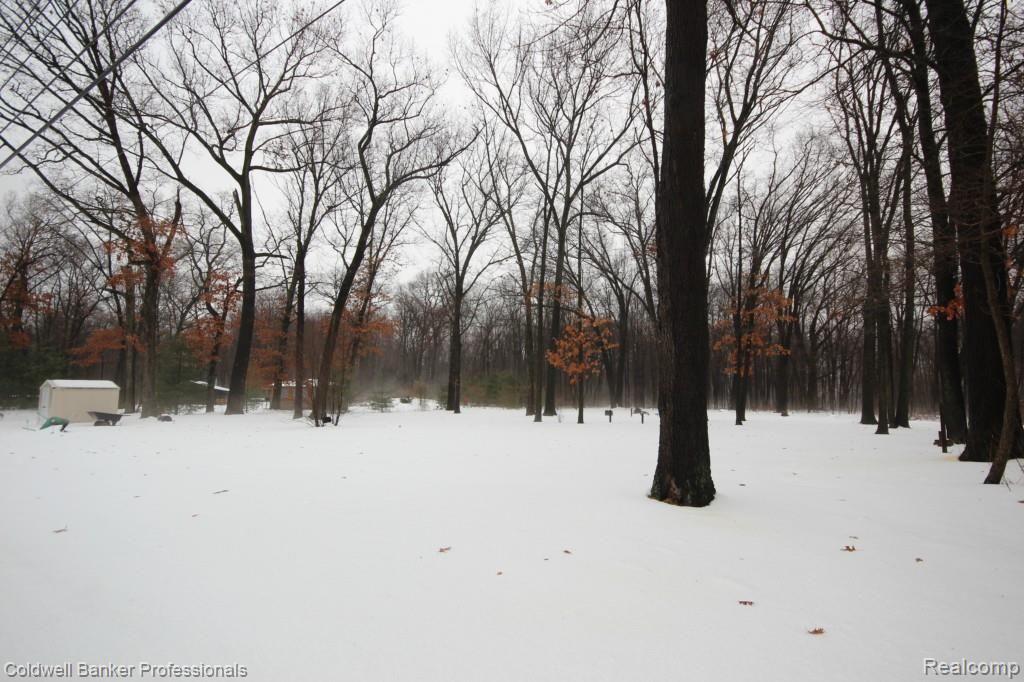 41790 Bemis Road Belleville, MI 48111 - Photo 4 of 25 024.jpg