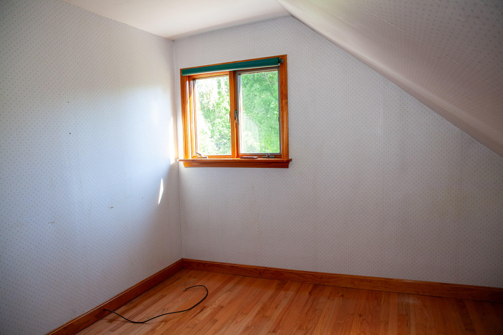 20 Butter Hill Road Livermore, ME 04253 - Photo 32 of 65 IMG_9985