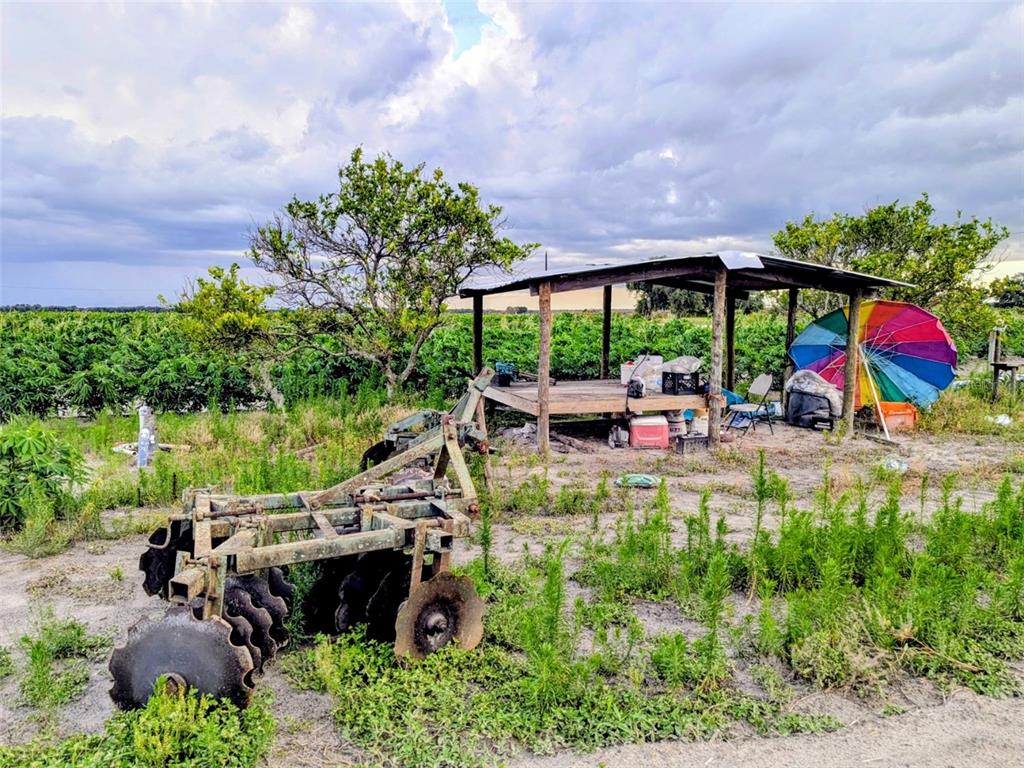 Tom Bryan Road Zolfo Springs, FL 33890 - Photo 8 of 10