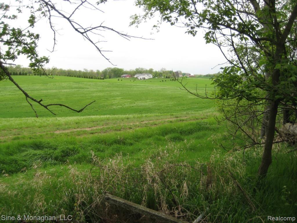 Ssss Ssss Washburn Road Grass Lake, MI 49240 - Photo 4 of 5