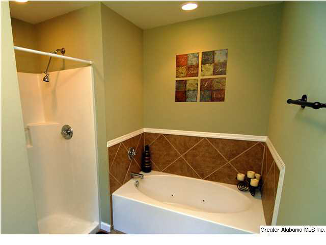 2208 Oscar Bradford Road Hayden, AL 35079 - Photo 8 of 19