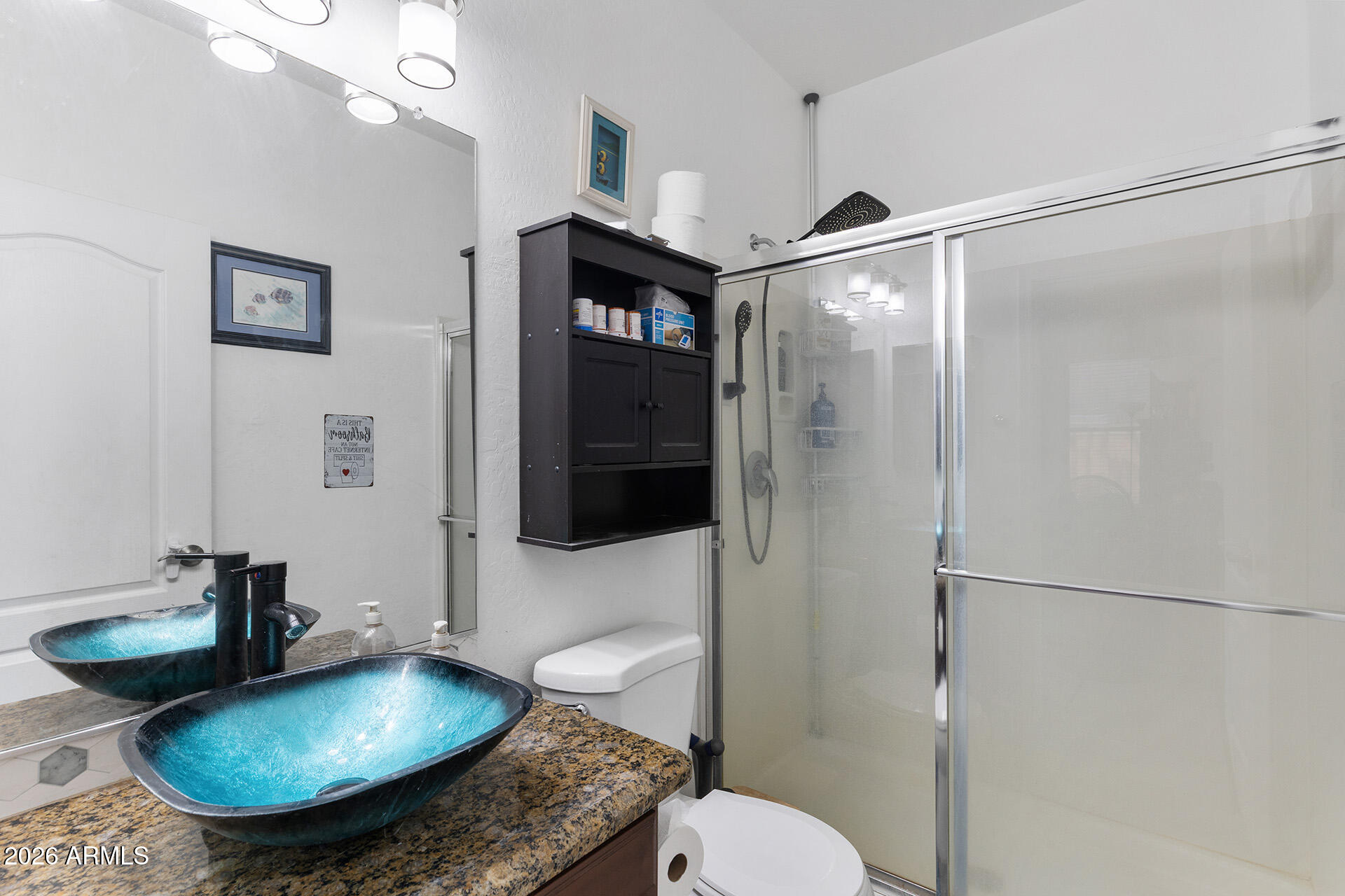 11029 East Decatur Street Mesa, AZ 85207 - Photo 46 of 62 a bathroom with a sink toilet a mirror and shower