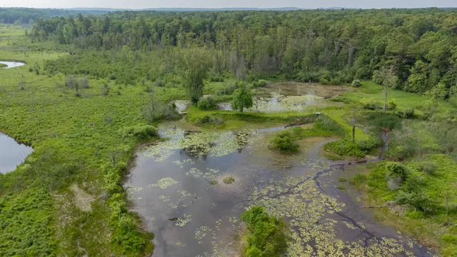 $550,000 | 5774 Wayne Avenue, Pentwater, MI 49449