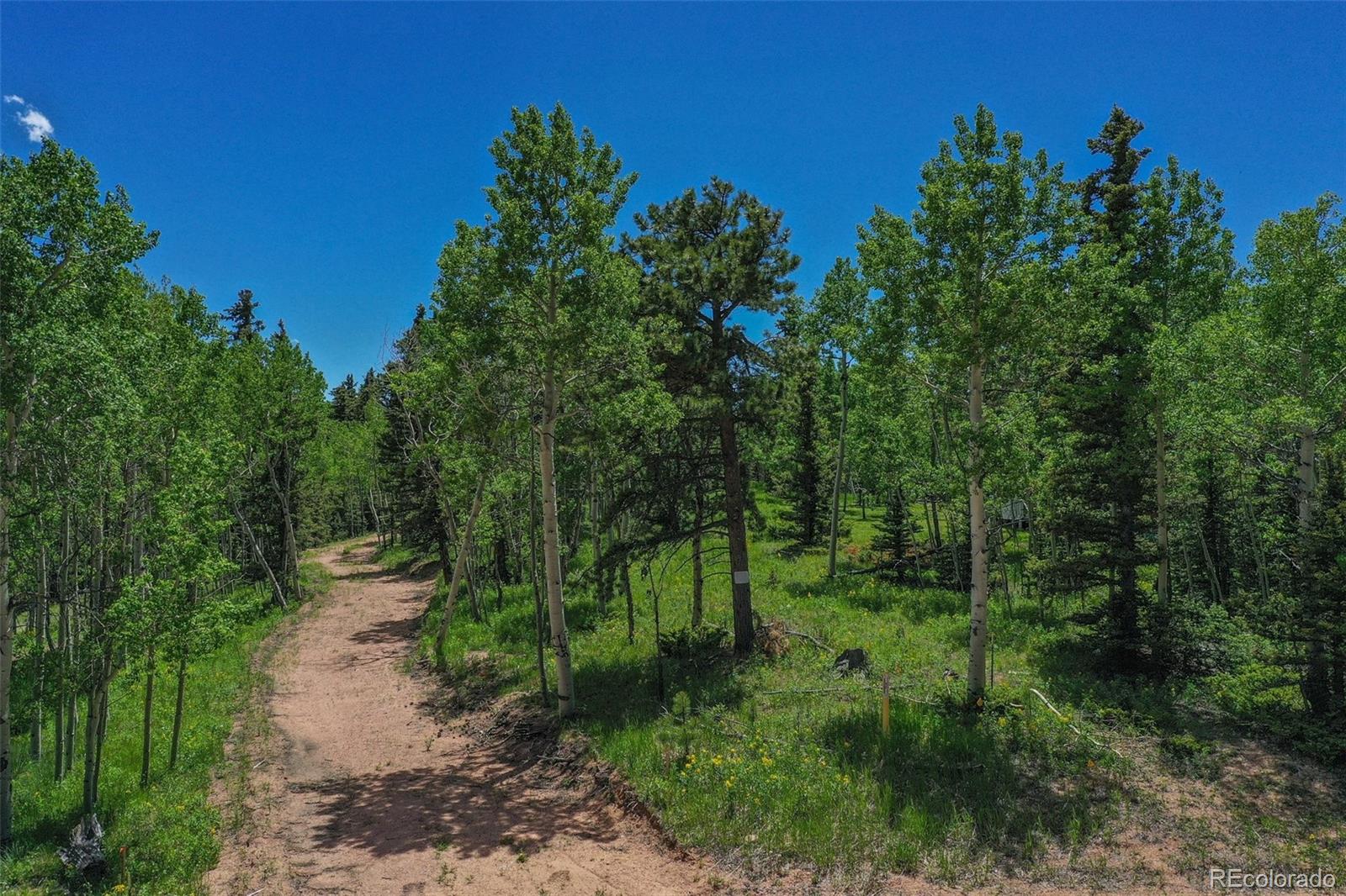 228 Worley Road Divide, CO 80814 - Photo 1 of 5