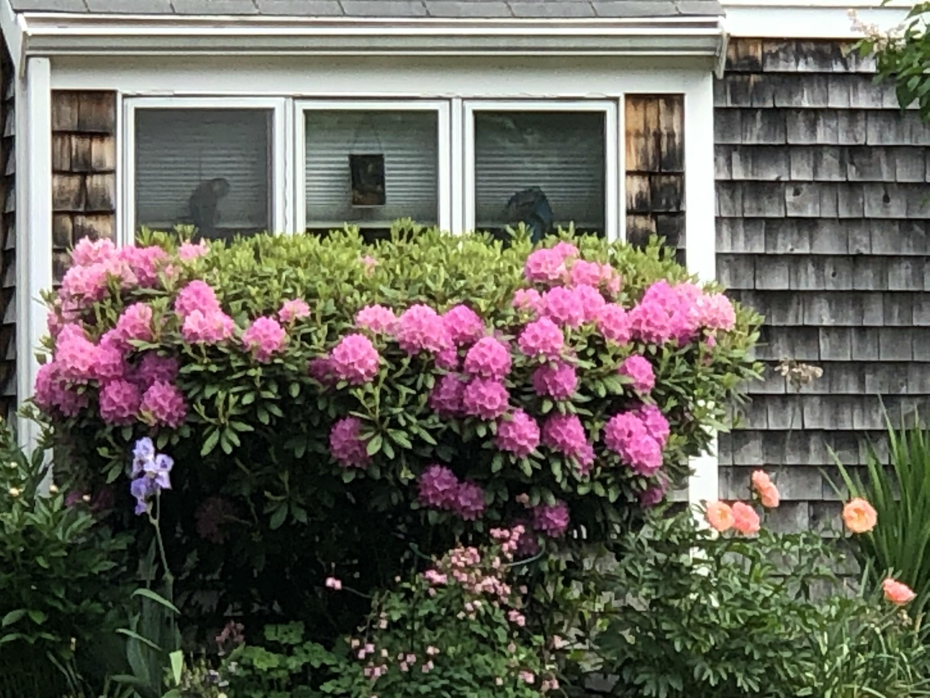 31 Stratton Road, Unit 31 Scarborough, ME 04074 - Photo 2 of 19 Spring