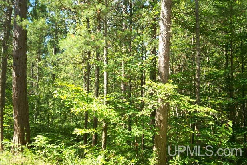 5744 North Co Road Manistique, MI 49854 - Photo 4 of 17