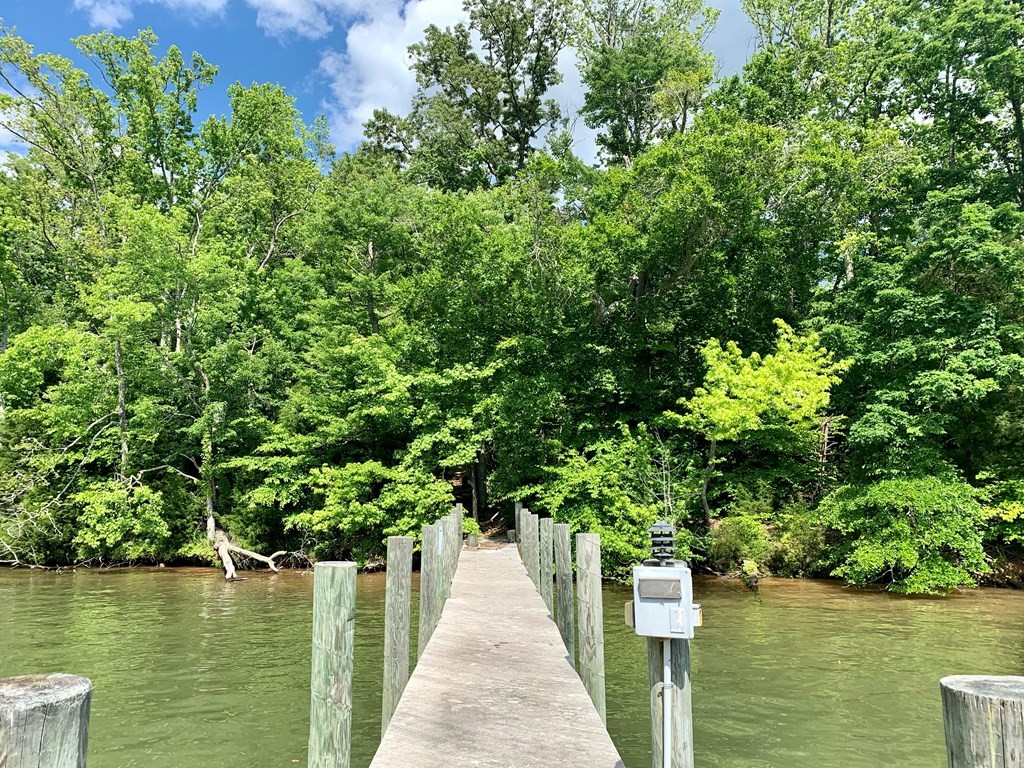 0 Red Cloud Trail Spring City, TN 37381 - Photo 13 of 49
