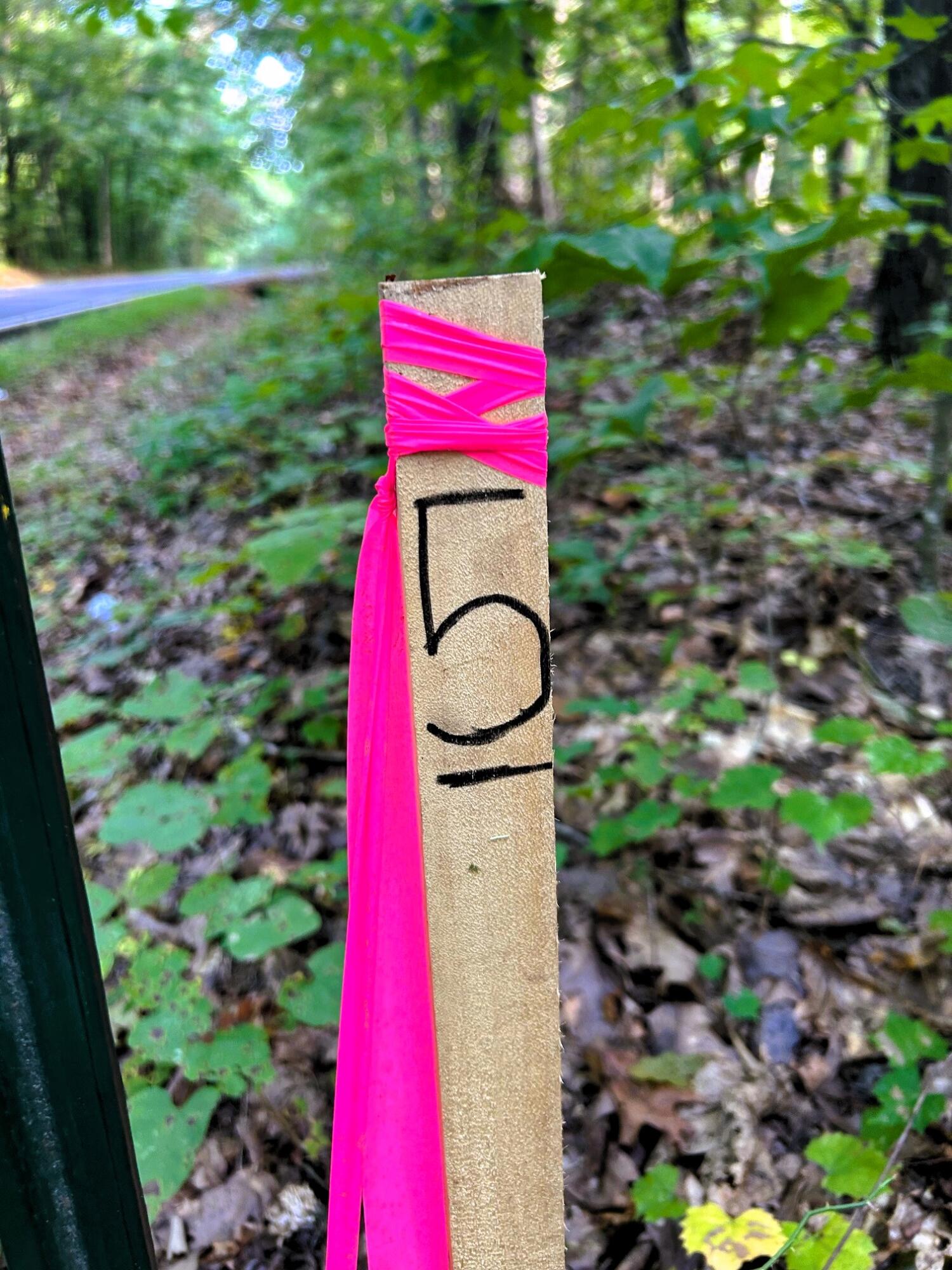 5 Pleasant Hill Road Ten Mile, TN 37880 - Photo 16 of 19 IMG_3856