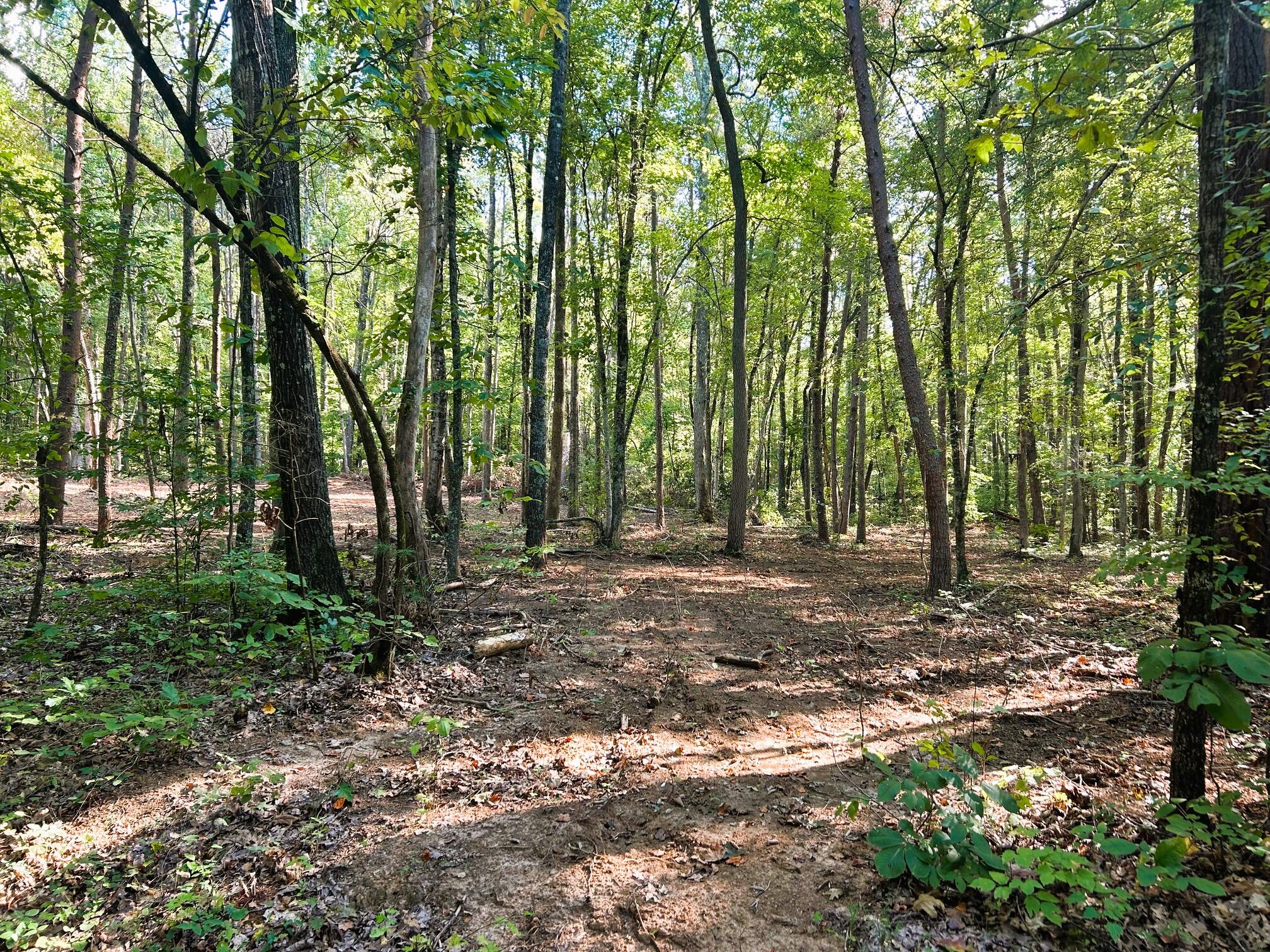 5 Pleasant Hill Road Ten Mile, TN 37880 - Photo 4 of 19 Utilities Available!