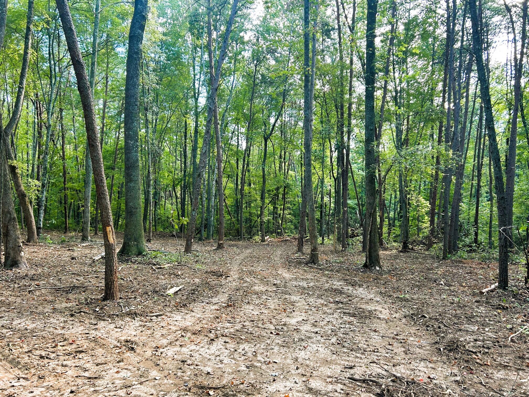 5 Pleasant Hill Road Ten Mile, TN 37880 - Photo 7 of 19 IMG_3865