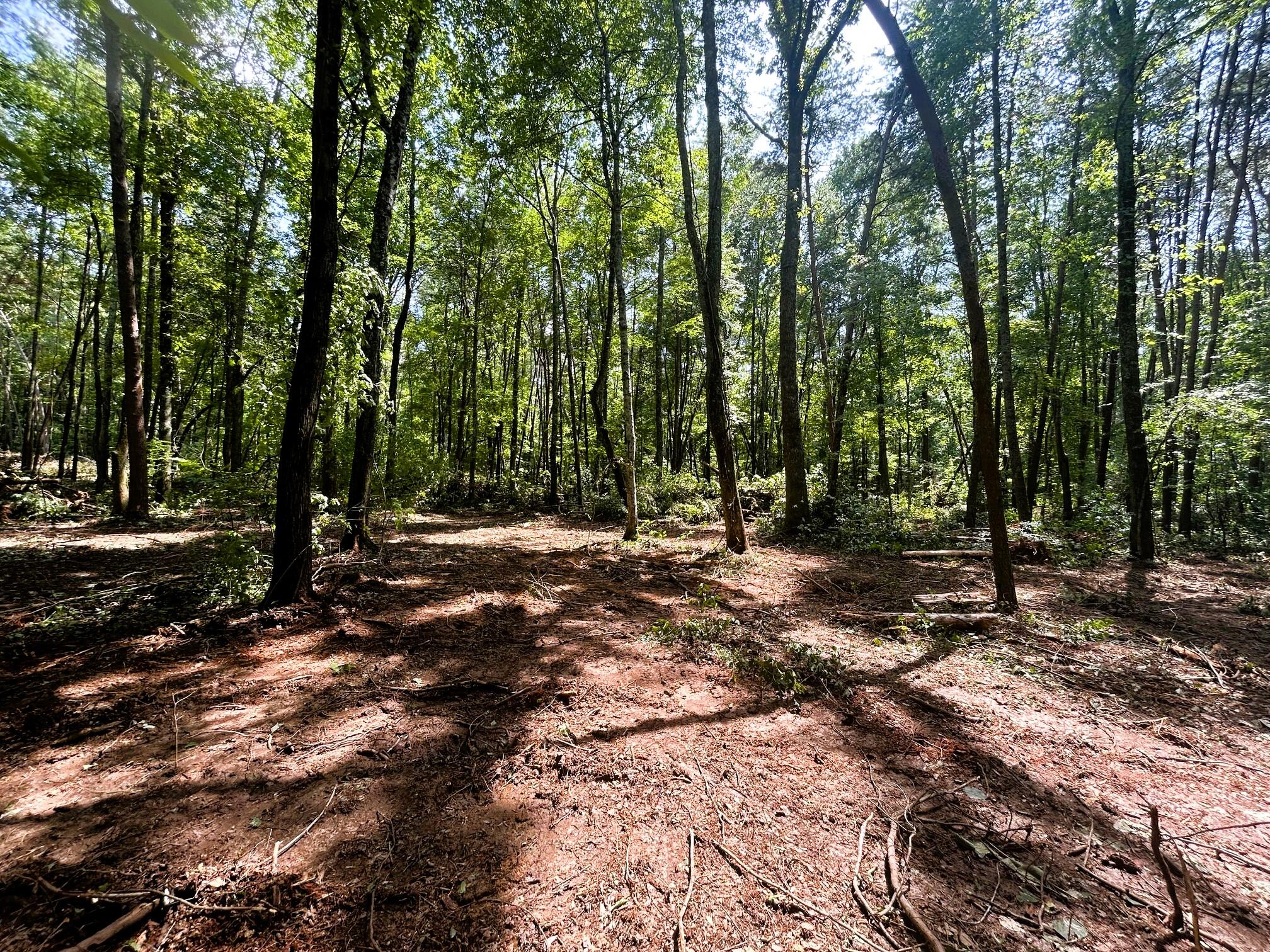 5 Pleasant Hill Road Ten Mile, TN 37880 - Photo 10 of 19 Tract 5 Pleasant Hill Rd