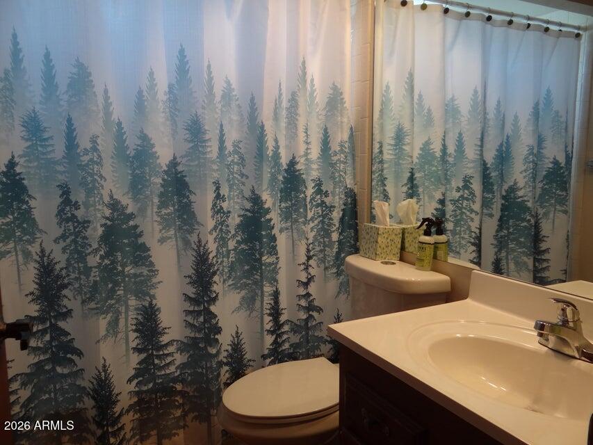 606 North Easy Street, Unit B Payson, AZ 85541 - Photo 10 of 31 Bathroom