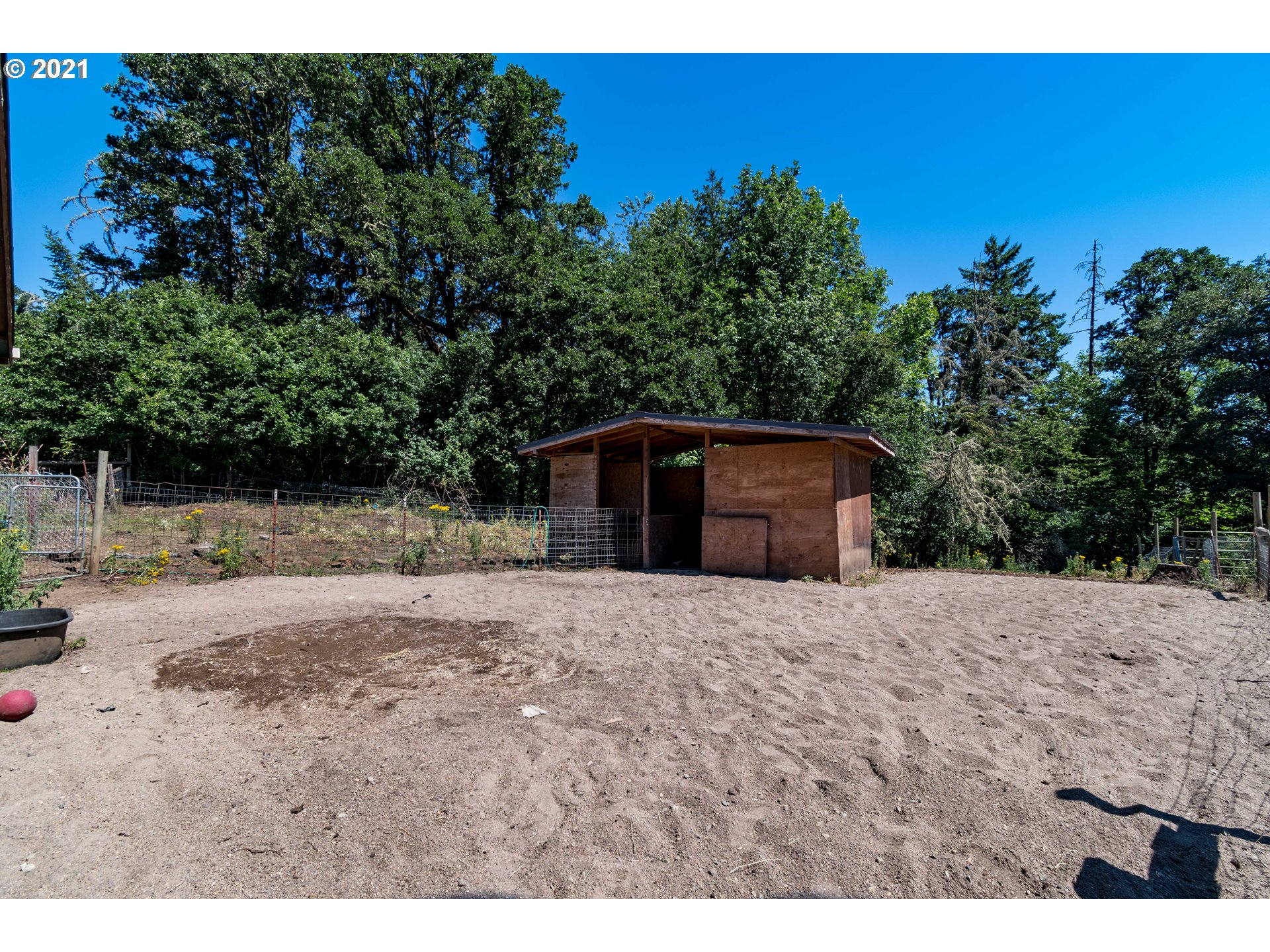 89989 Hill Road Springfield, OR 97478 - Photo 27 of 32