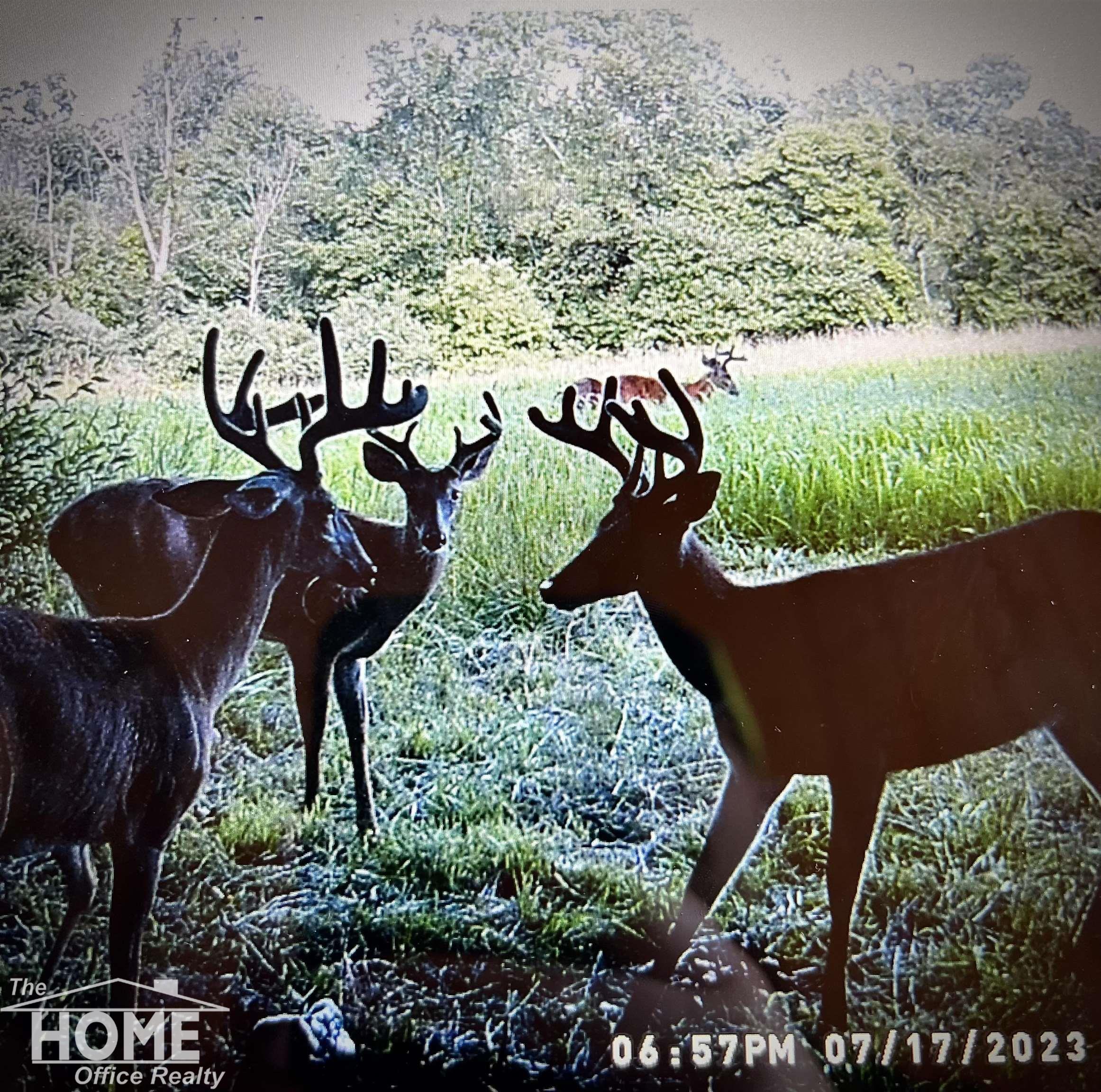 0 Colvin Road St. Charles, MI 48655 - Photo 21 of 23