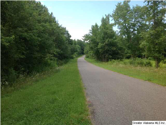 Mckay Road, Unit 16 Delta, AL 36258 - Photo 2 of 7