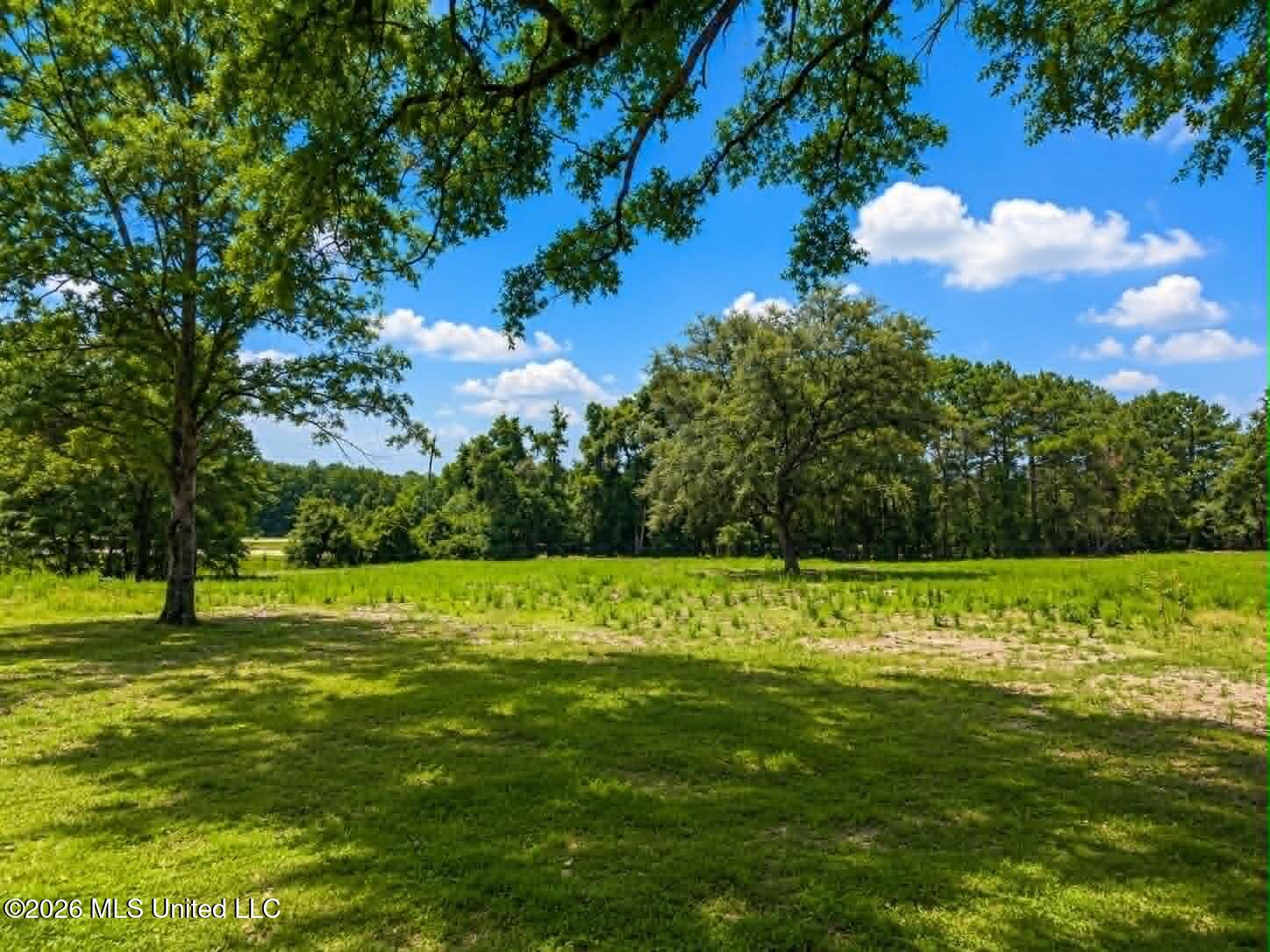 2125 Fig Farm Road Lucedale, MS 39452 - Photo 56 of 71 Acreage