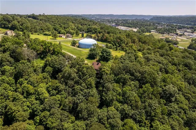 a view of a wooden wall with potted plant