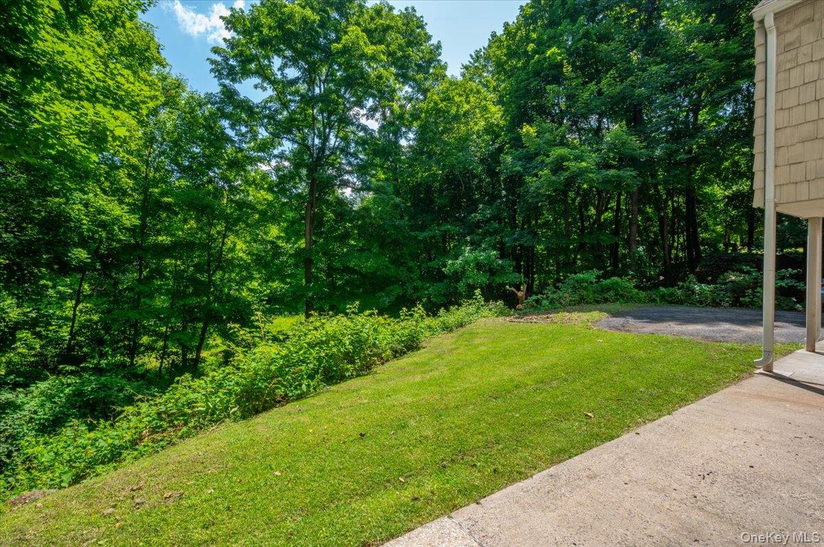 105 High St Extension Mount Kisco, NY 10549 - Photo 10 of 38 a view of a grassy field with trees in the background