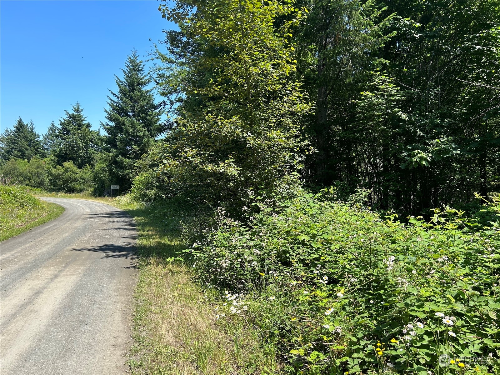 0 Highway 101 Brinnon, WA 98320 - Photo 4 of 19 a view of a garden with plants