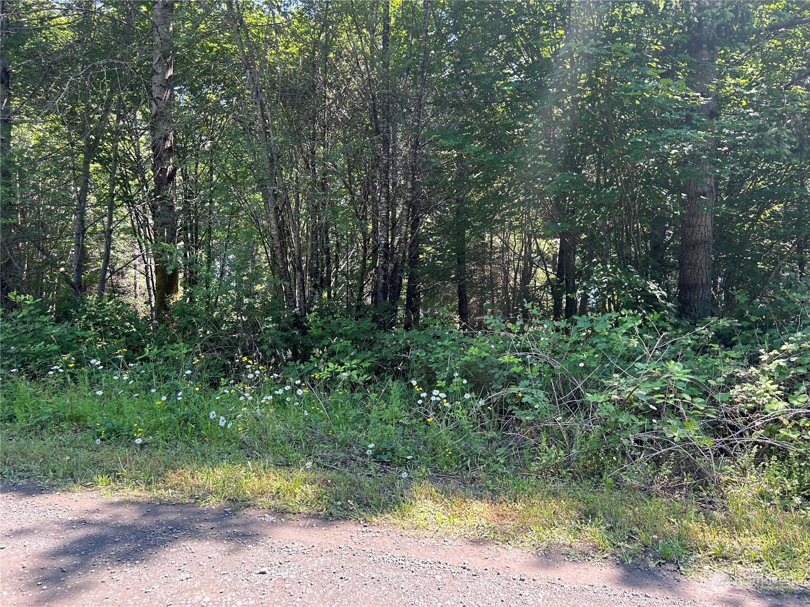 0 Highway 101 Brinnon, WA 98320 - Photo 5 of 19 a view of outdoor space and yard