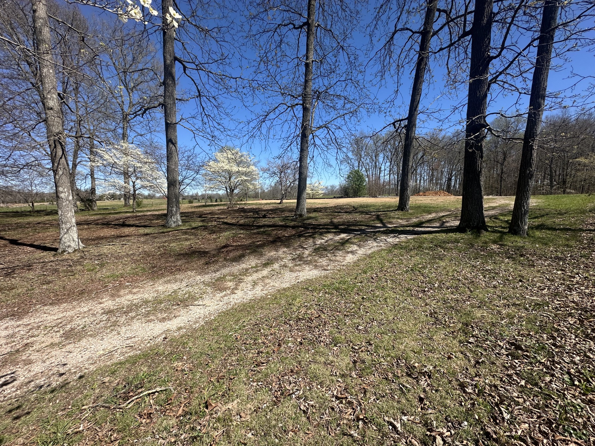5149 Arnold Thomas Road Silver Point, TN 38582 - Photo 10 of 21 Gallery Image 10