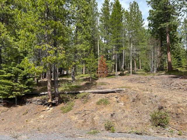 43 Clear Spring Way, Unit 43 Crescent Lake, OR 97733 - Photo 5 of 6 IMG_5474