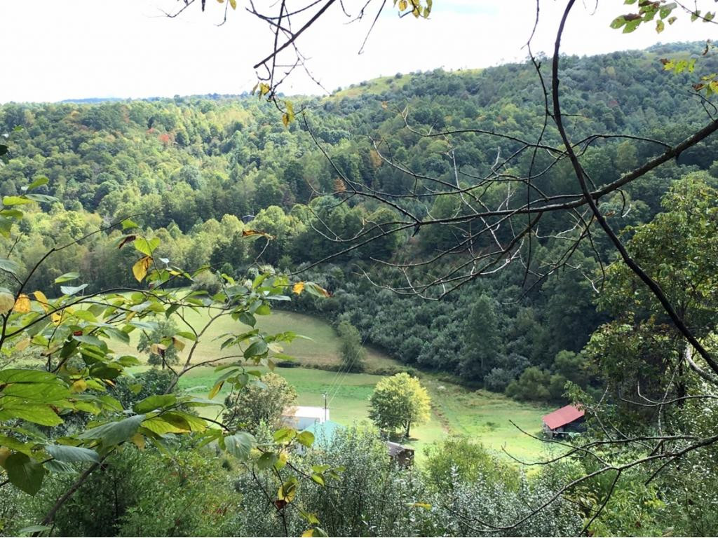 12249 Little Road Pound, VA 24279 - Photo 22 of 36 Photo 22