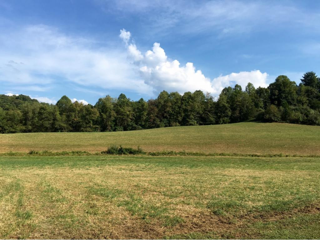 12249 Little Road Pound, VA 24279 - Photo 5 of 36 Expansive Pastures