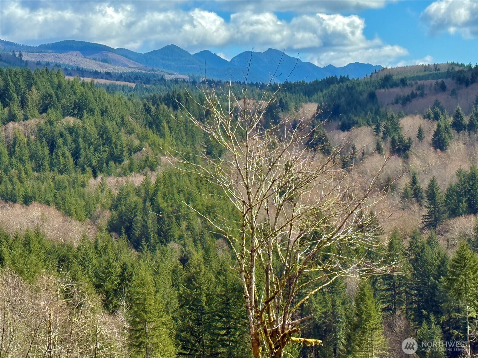 418 August Road Onalaska, WA 98570 - Photo 11 of 37