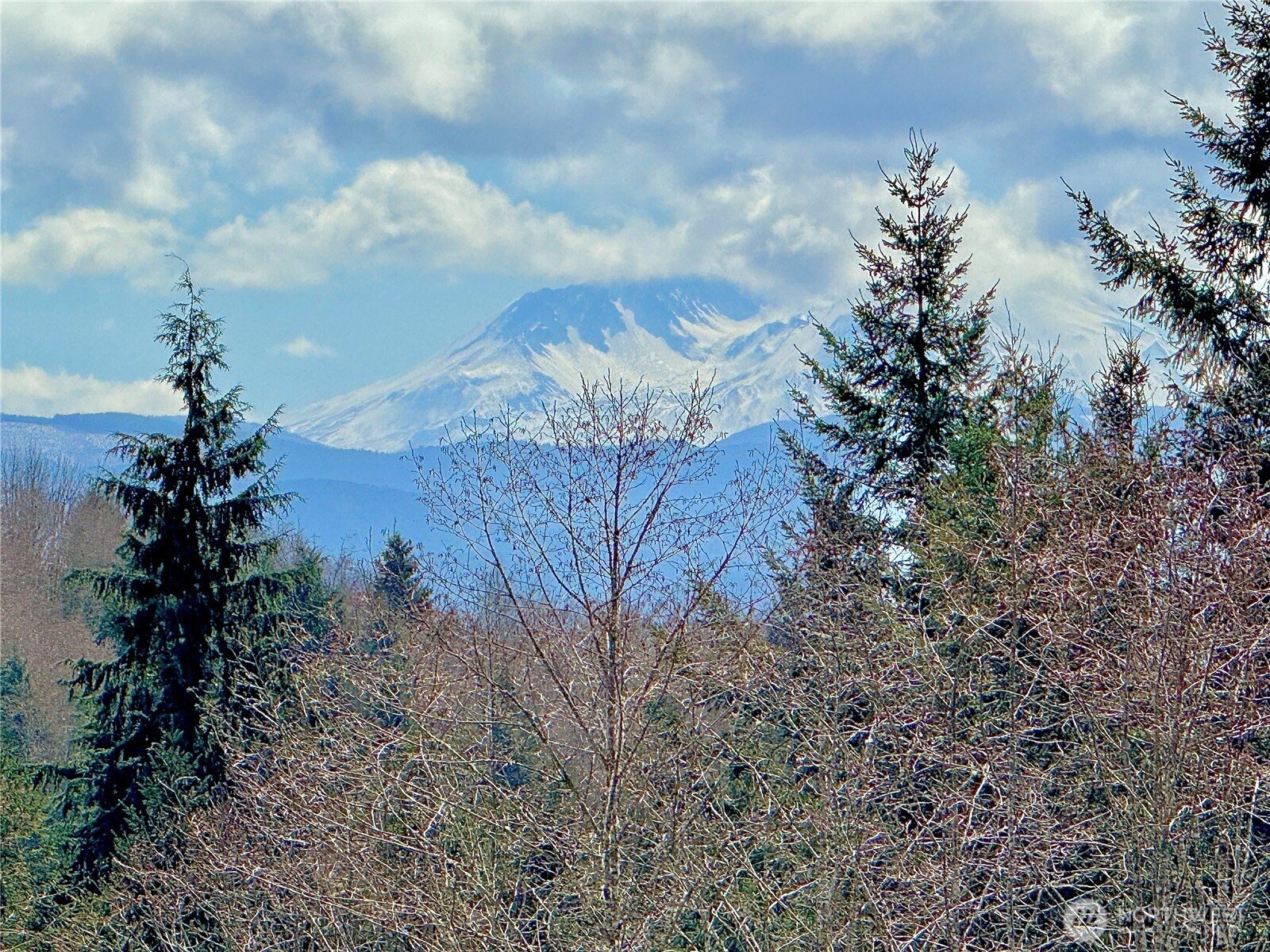 418 August Road Onalaska, WA 98570 - Photo 12 of 37