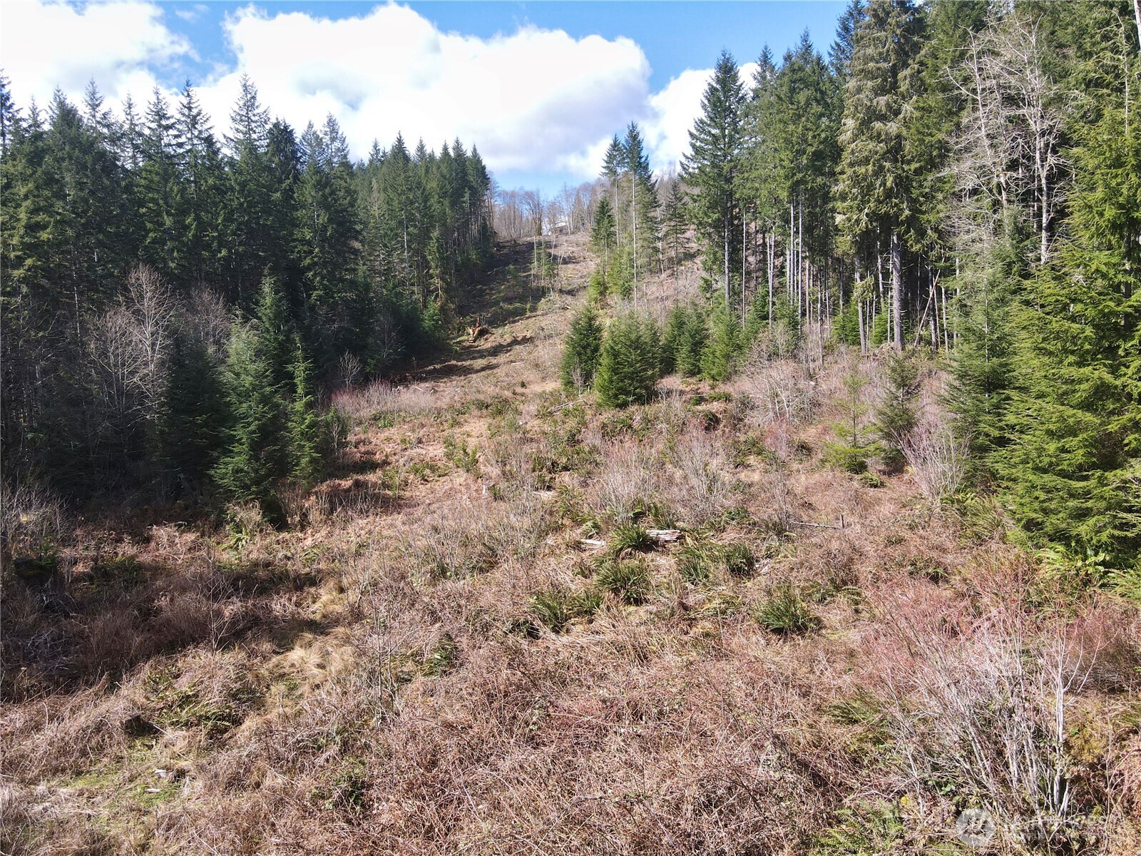 418 August Road Onalaska, WA 98570 - Photo 14 of 37