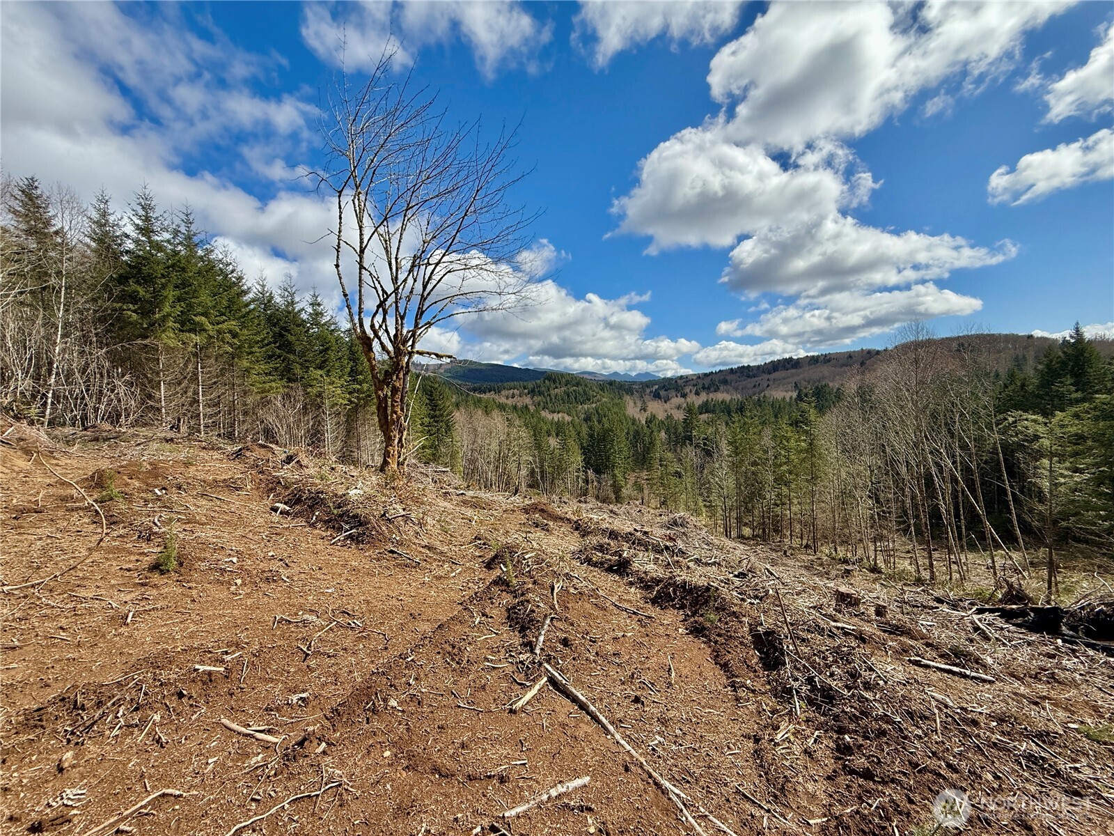 418 August Road Onalaska, WA 98570 - Photo 18 of 37