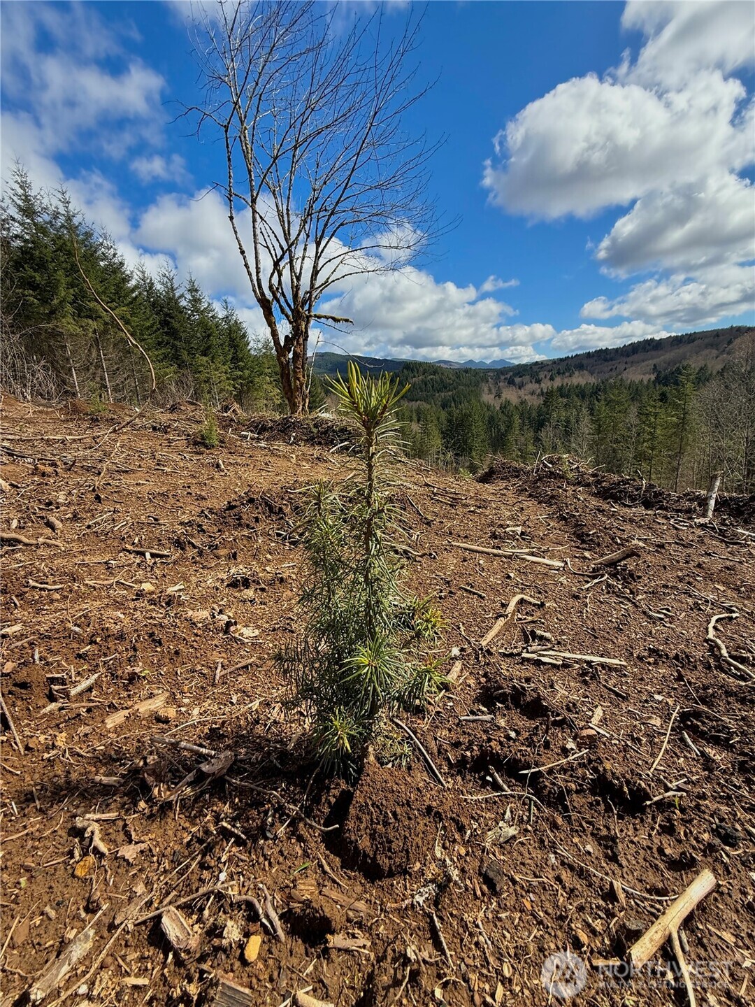 418 August Road Onalaska, WA 98570 - Photo 19 of 37