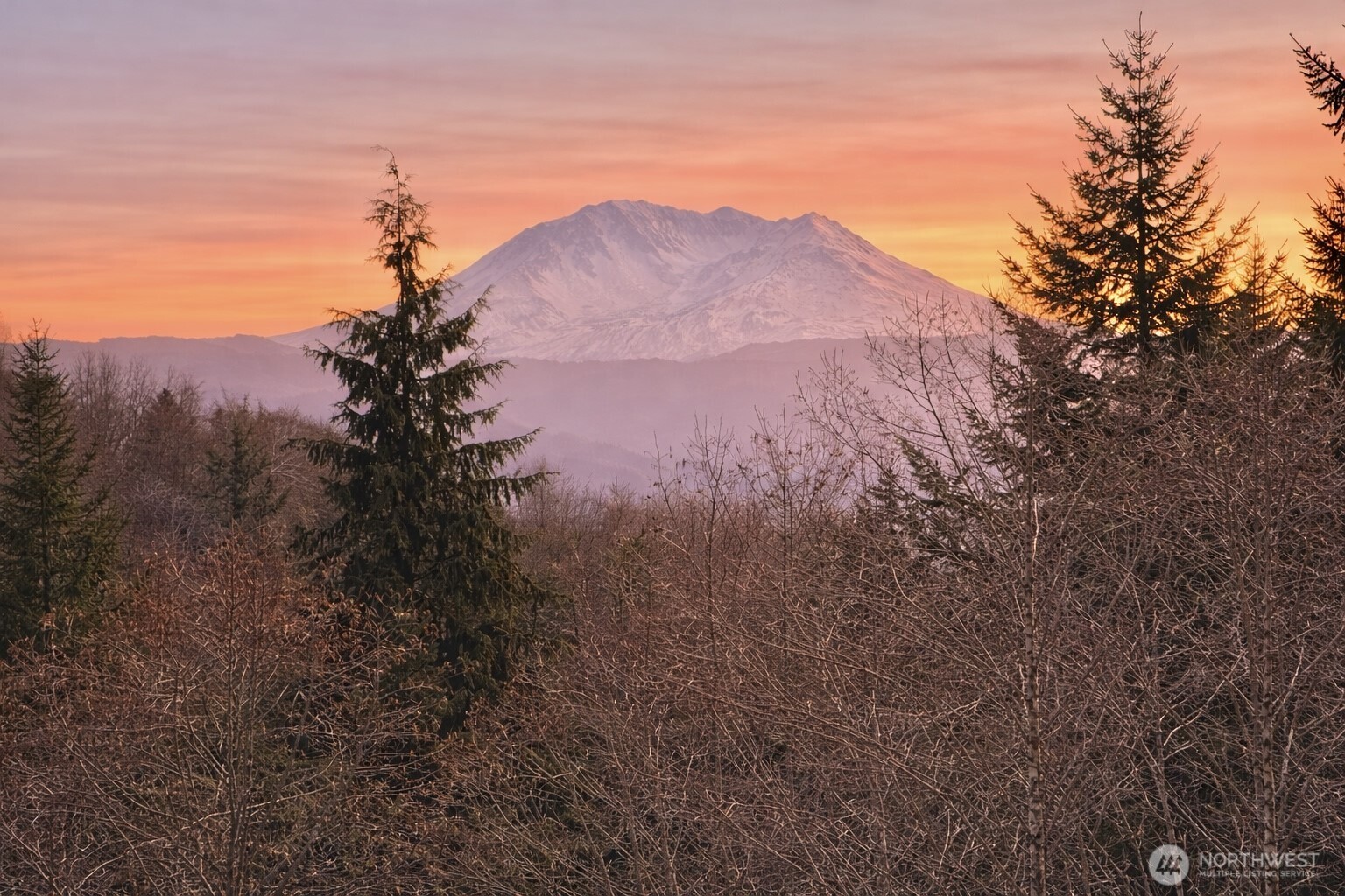 418 August Road Onalaska, WA 98570 - Photo 20 of 37