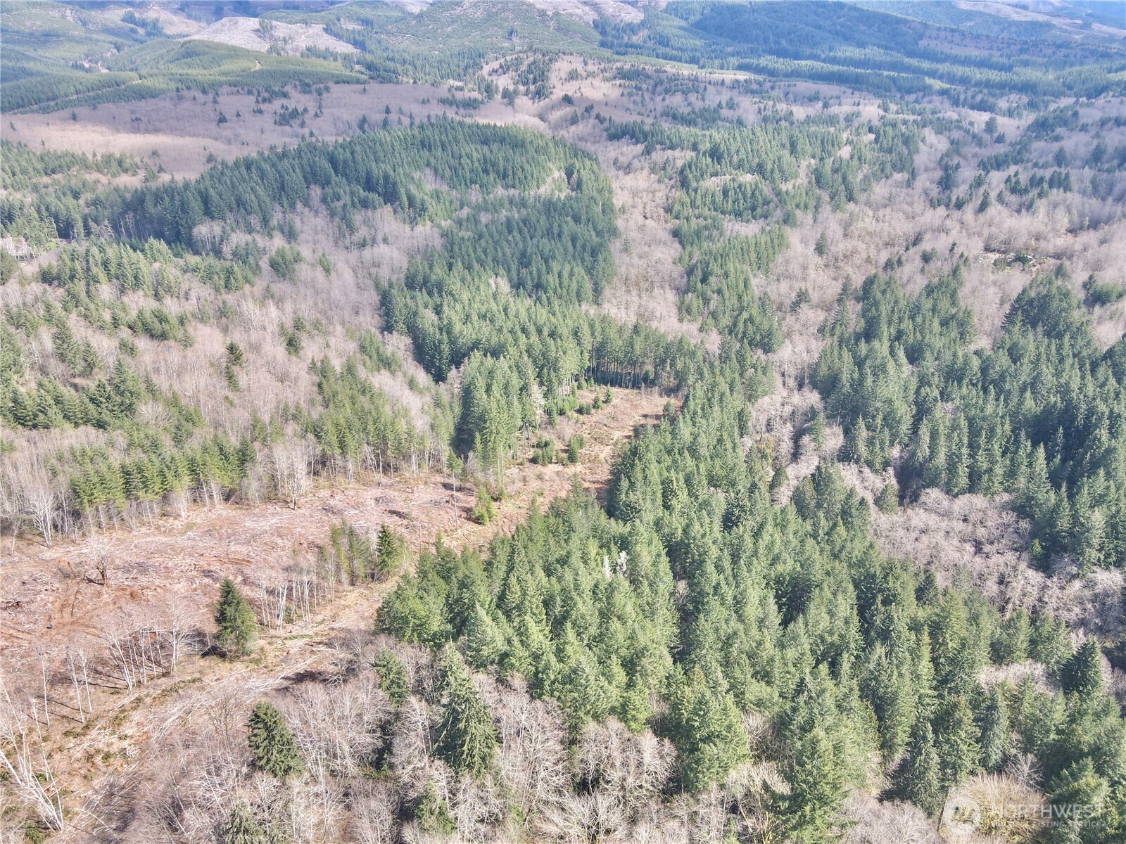 418 August Road Onalaska, WA 98570 - Photo 21 of 37