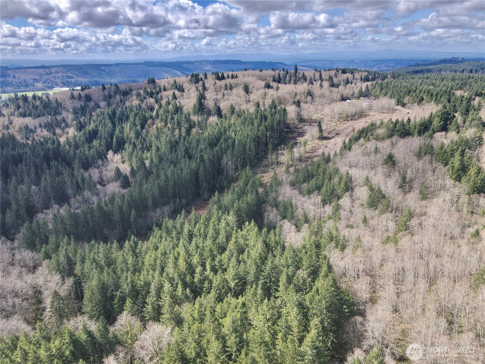 418 August Road Onalaska, WA 98570 - Photo 22 of 37