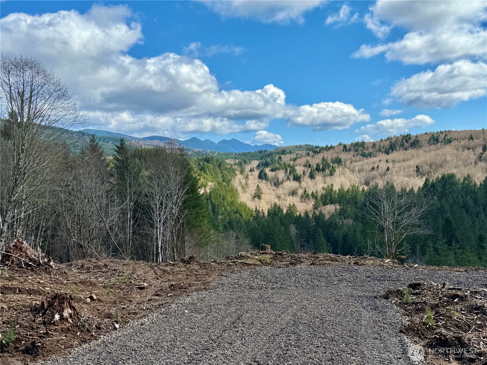 418 August Road Onalaska, WA 98570 - Photo 23 of 37