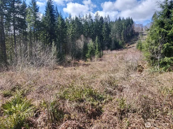 $109,900 | 418 August Road, Onalaska, WA 98570