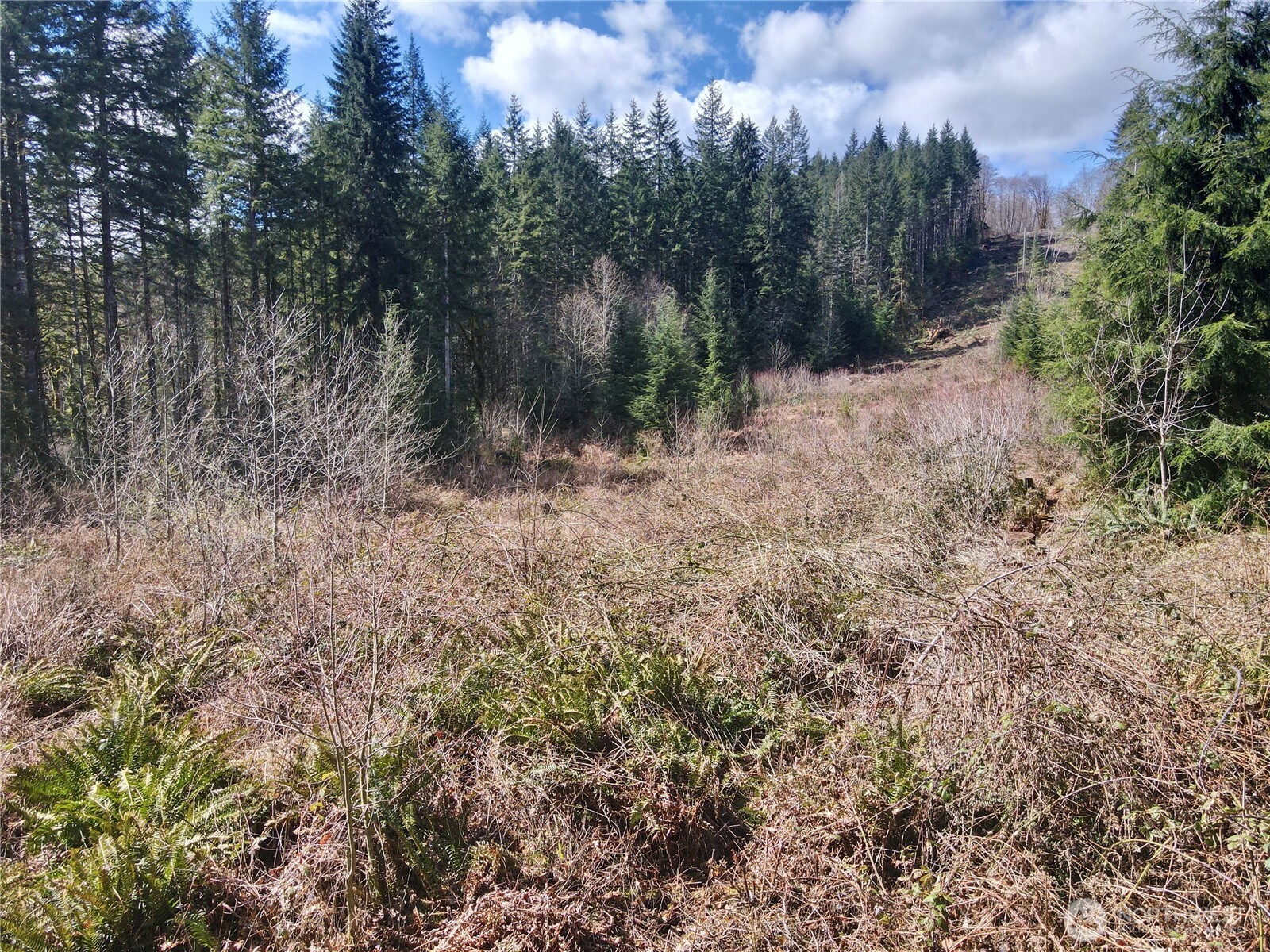 418 August Road Onalaska, WA 98570 - Photo 24 of 37