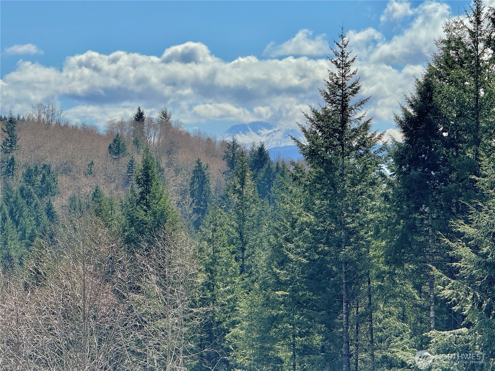 418 August Road Onalaska, WA 98570 - Photo 26 of 37