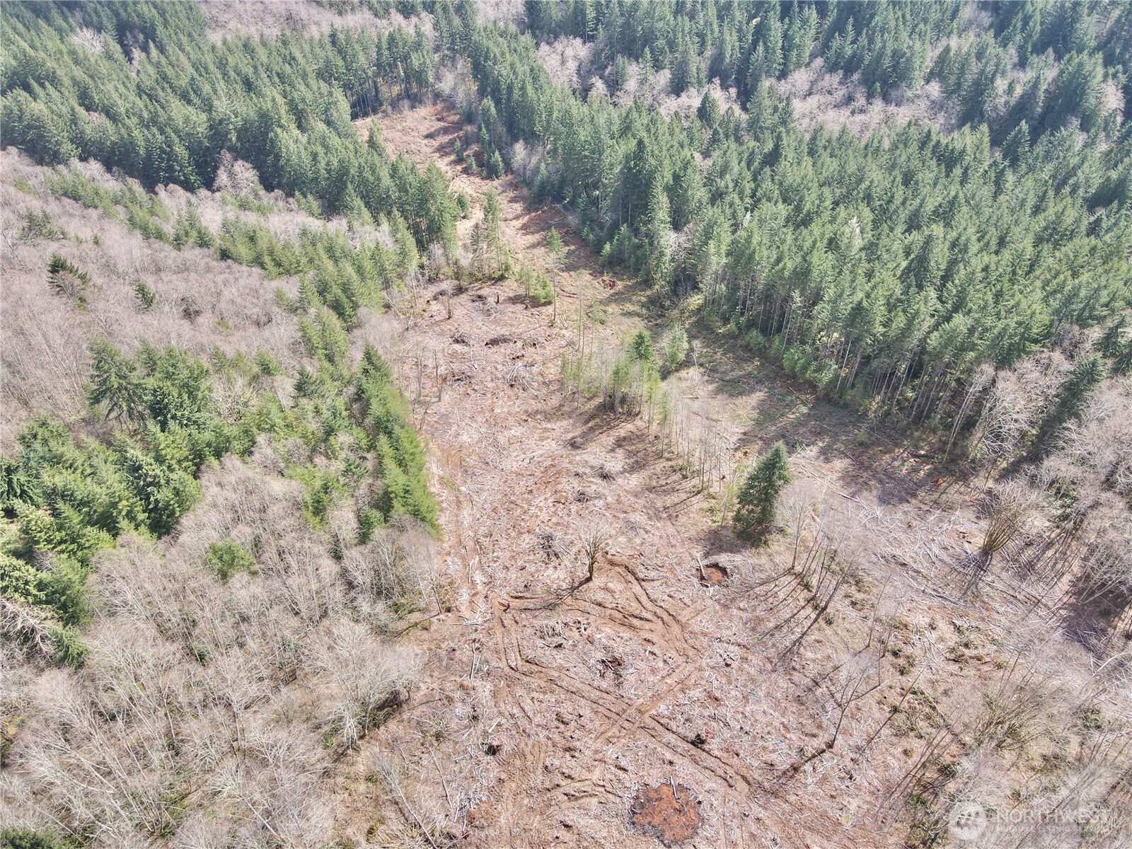 418 August Road Onalaska, WA 98570 - Photo 30 of 37