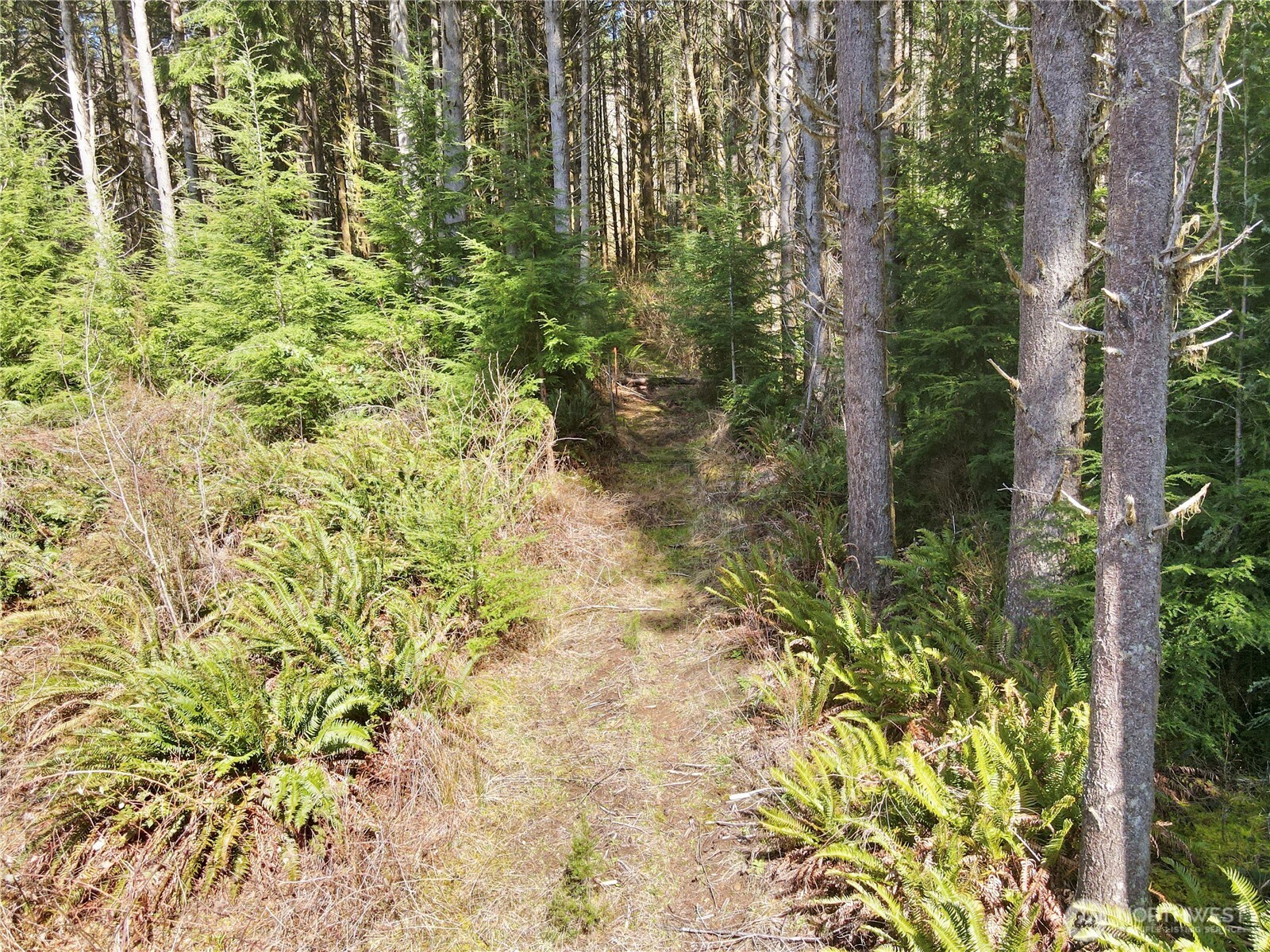 418 August Road Onalaska, WA 98570 - Photo 32 of 37