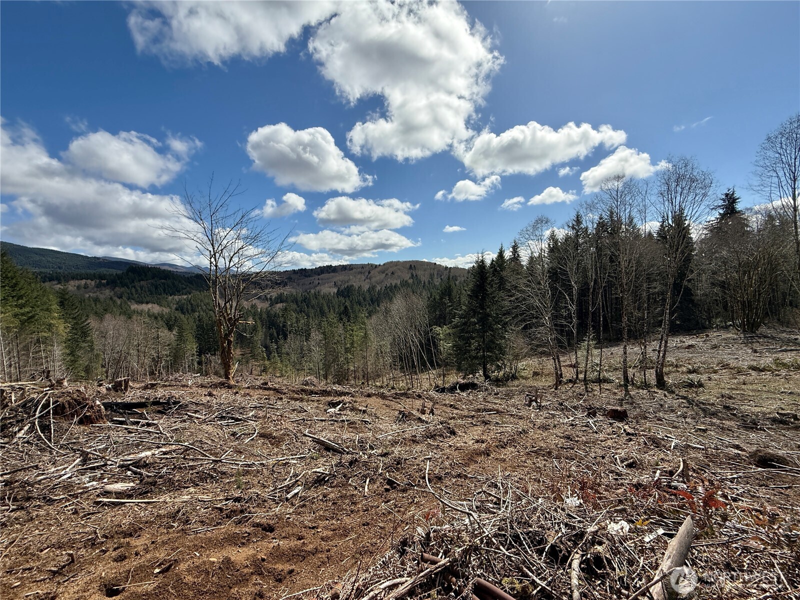 418 August Road Onalaska, WA 98570 - Photo 36 of 37