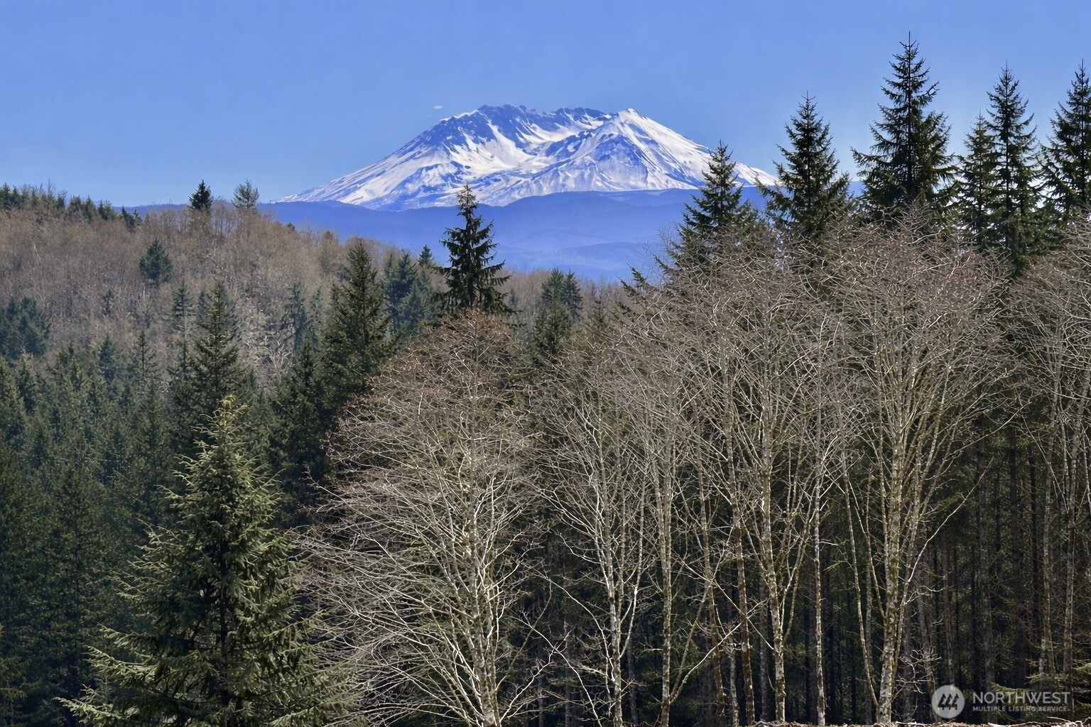 418 August Road Onalaska, WA 98570 - Photo 37 of 37