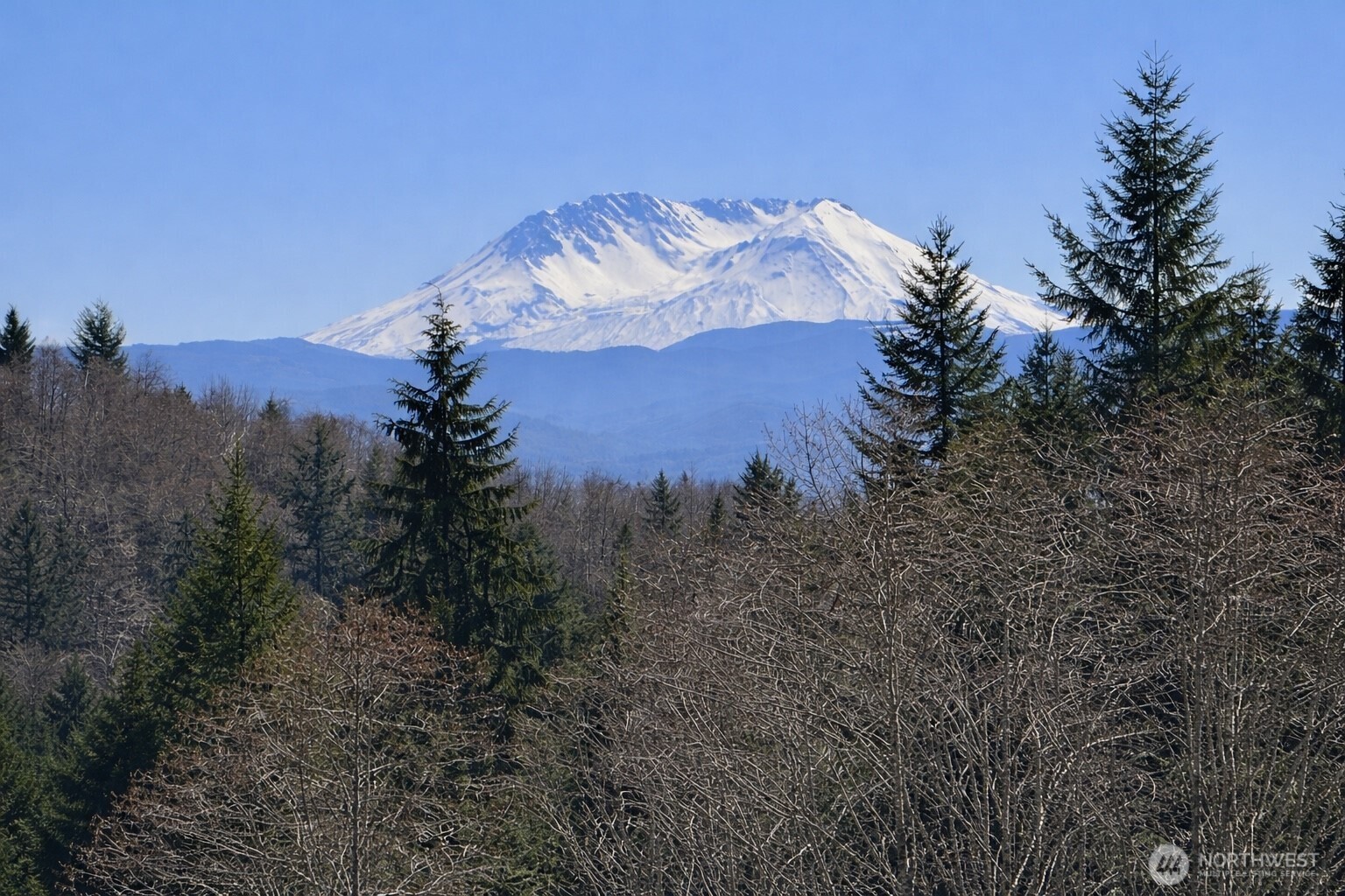 418 August Road Onalaska, WA 98570 - Photo 5 of 37