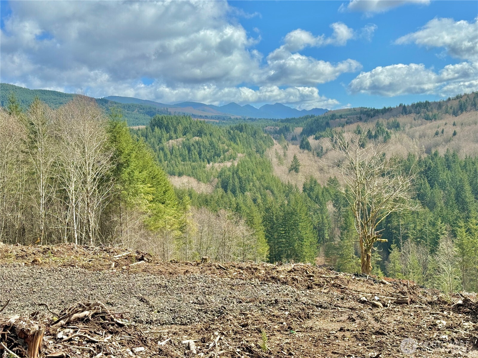 418 August Road Onalaska, WA 98570 - Photo 10 of 37