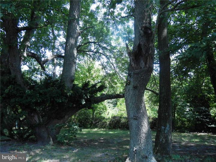24 Pelham Road Marlton, NJ 08053 - Photo 3 of 20