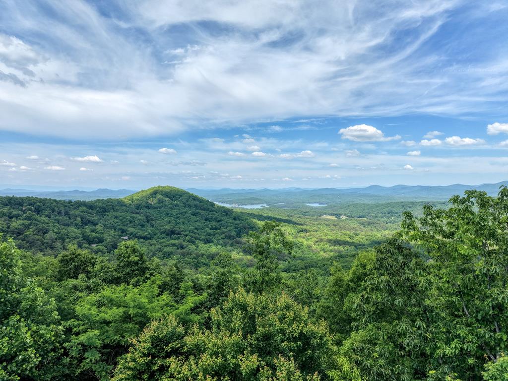 Lot2 Deer Crest Overlook Blue Ridge, GA 30513 - Photo 11 of 12 aerial view