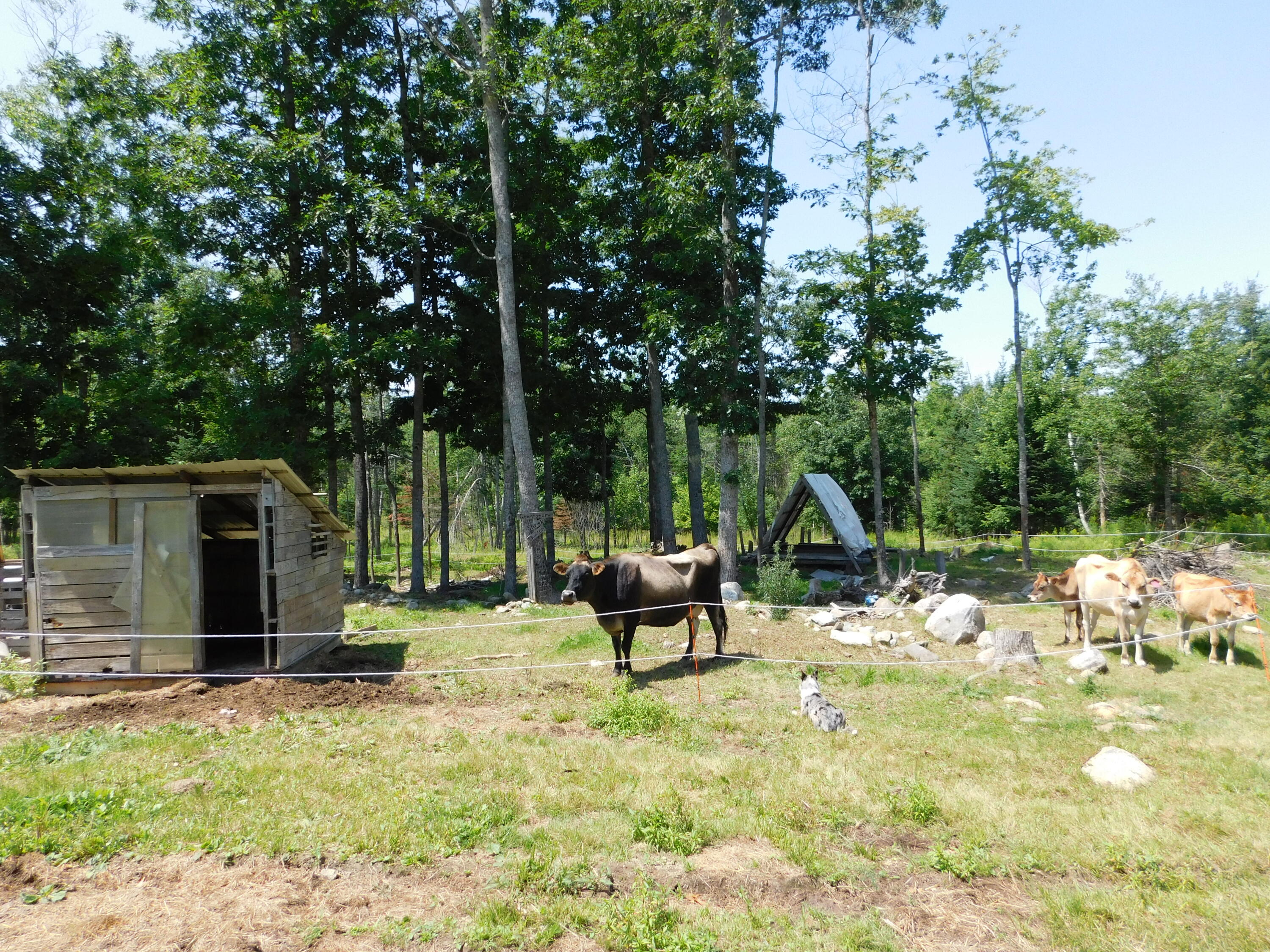 535 Betts Road Bucksport, ME 04416 - Photo 71 of 120 DSCN1345